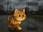Погода в Лисках: теплые дни, прохладные ночи 