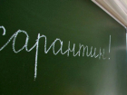 В Воронеже школу закрывают на карантин из-за гриппа