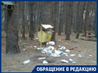 Воронежский особо охраняемый Северный лес превратился в помойку