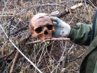 Человеческий череп обнаружили воронежцы во время прогулки по Чижовке