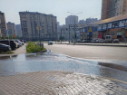 Метод посадки из зловонной лужи изобрели в воронежских маршрутках