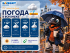 Льёт как из ведра: прогноз погоды в Воронеже