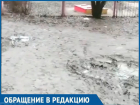 «Сводил ребенка в садик - набрался впечатлений на целый день», – воронежец Владимир Власюк