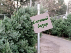 В Воронеже местные елки не продаются
