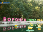 Почти в пять миллионов рублей обойдется охрана фестиваля «Город-Сад» в Воронеже 