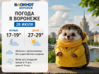 Грозовой финал июля: какая погода ждет Воронеж в ближайшие дни?