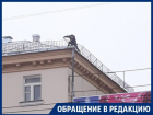 В центре Воронежа снег с крыши чистят на головы прохожих 