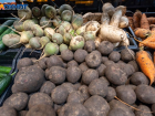 Три тонны сомнительных овощей, ягод и грибов изъяли у продавцов в Воронежской области