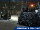 Шок от воронежских цен на елки испытала студентка из Липецка 