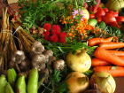 12 сельхозпредприятий начнут выращивать органические продукты в Воронежской области