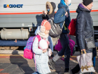 Телефоны «горячих линий» для беженцев с Донбасса появились в Воронежской области 