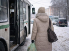 Почему поездка на автобусе поставила воронежанку на грань банкротства