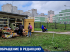 Рой киосков «окружил» школу в Воронеже 