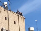 Бесстрашные подростки-камикадзе заполонили крыши домов в Воронеже