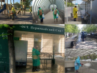 В Воронеже показали сплошные обработки остановок от коронавируса