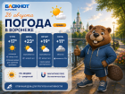 Прохладные вечера: прогноз погоды в Воронеже	