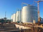 Громадный зерновой терминал за 5 млрд рублей появится в Воронежской области