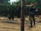 На видео попало, как воронежские солдаты сооружают заставу из сосны