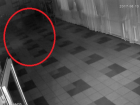 Разгуливающий по воронежской школе призрак попал на видео 