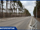 Как выглядит новая дорога через лес, призванная разгрузить Воронеж 