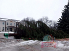Новогодняя елка упала на площади в Эртиле Воронежской области