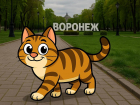 Летняя увертюра: погода в Воронеже снова шалит 