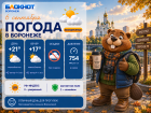 С +21 до +10 за 72 часа: погодные перепады ожидаются в Воронеже