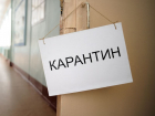 Классы в 35 школах Воронежа закрылись на карантин