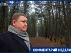 «Нет необходимости в вырубке Нагорной дубравы»: депутат гордумы напомнил два альтернативных выхода из ситуации