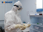 Один скончался и 195 заразились COVID-19 за сутки в Воронежской области 
