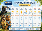 Воронежцев ждет жаркая неделя с дождливым финалом: прогноз погоды на неделю