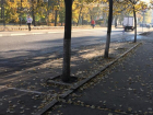 Воронежцы массово игнорируют платные парковки в центре города