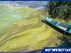 Как выглядит Воронежское водохранилище, захваченное опасными цианобактериями, показали с разных ракурсов