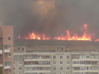 Особый противопожарный режим в Воронежской области будет введен 20 апреля
