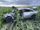 47-летний водитель «Ауди» погубил своего пассажира в Воронежской области
