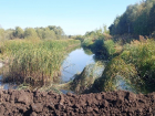 Дамба раздора: пока чиновники лепят отписки, воронежцы берут и делают