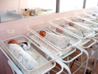 На рождение третьего и последующего ребенка Воронежская область получит 425 миллионов рублей