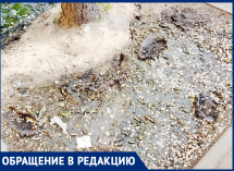  Мокро-вонючий квест испытывает воронежцев на остановке 