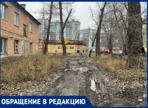 Ироничную благодарность передали Бородиной воронежцы из депрессивного района  