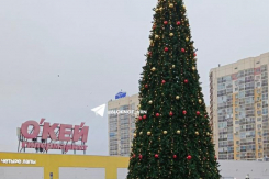 Первая большая елка появилась в Воронеже 