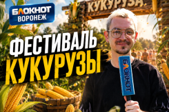 Музыка, танцы и сотни улыбок: чем порадовал прошедший гастрофестиваль кукурузы в Воронежской области