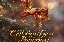 Дорогие воронежцы!