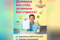 Лучше, чем продленка: воронежский Центр «Маленький гений» делает с детьми домашку и натаскивает их по всем предметам 