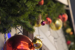 Воронежцам напомнили, что нужно успеть сделать до Нового года 