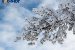 Ждать ли снега в декабре и на Новый год, рассказал глава Воронежского гидрометцентра 