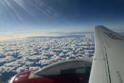 На 26% активнее: как Воронежская область покоряла мир на каникулах