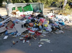 Воронеж оказался на дне рейтинга чистых городов
