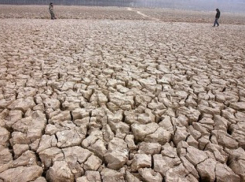 В Воронежской области не удобряли почву