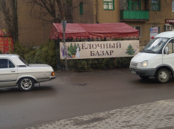 Кто ответит за базар? Нелегальные продавцы елок заполонили улицы Воронежа 