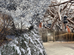 Зимняя сказка глазами воронежцев 